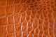 Crocodile Skin Wall Mural