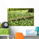 White Wildflowers Growing Amongst The Trees Wall Mural