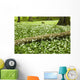 White Wildflowers Growing Amongst The Trees Wall Mural