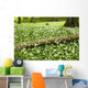White Wildflowers Growing Amongst The Trees Wall Mural