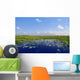 Blue sky in Florida Everglades wetlands green plants horizon Wall Mural