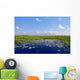 Blue sky in Florida Everglades wetlands green plants horizon Wall Mural