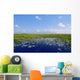 Blue sky in Florida Everglades wetlands green plants horizon Wall Mural