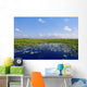Blue sky in Florida Everglades wetlands green plants horizon Wall Mural
