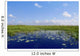 Blue sky in Florida Everglades wetlands green plants horizon Wall Mural