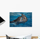 Dancing Dolphins Wall Mural