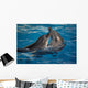 Dancing Dolphins Wall Mural