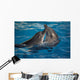 Dancing Dolphins Wall Mural
