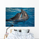 Dancing Dolphins Wall Mural