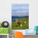 Cows Grazing On The Burren Coast Near Ballyvaghan Wall Mural