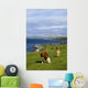 Cows Grazing On The Burren Coast Near Ballyvaghan Wall Mural