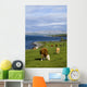 Cows Grazing On The Burren Coast Near Ballyvaghan Wall Mural