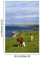 Cows Grazing On The Burren Coast Near Ballyvaghan Wall Mural