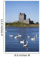 Swans On Water In Front Of Dunguaire Castle Wall Mural
