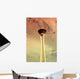 stratosphere Wall Mural
