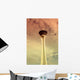 stratosphere Wall Mural