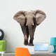 Elephant Isolated Wall Decal
