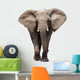 Elephant Isolated Wall Decal