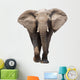 Elephant Isolated Wall Decal