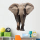 Elephant Isolated Wall Decal