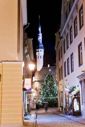 Town Hall and Decorated Wall Decal