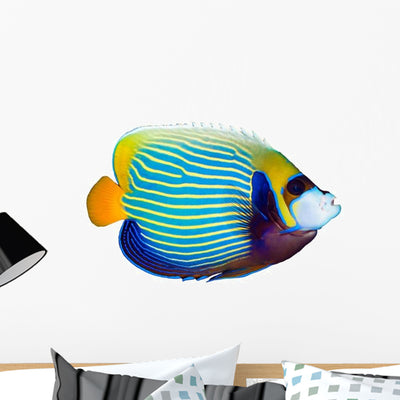 Emperor Angelfish Wall Decal shown on a wall