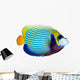 Emperor Angelfish Wall Decal