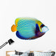Emperor Angelfish Wall Decal