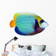 Emperor Angelfish Wall Decal