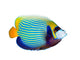 Emperor Angelfish Wall Decal