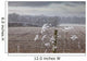 Frost-Covered Rural Field Wall Mural