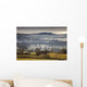 Fog Over The Landscape Wall Mural