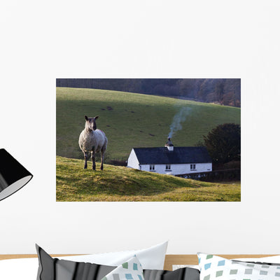 Sheep Standing Hill with Wall Mural shown on a wall