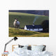 A Sheep Standing On A Hill With A House In The Background Wall Mural