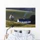 A Sheep Standing On A Hill With A House In The Background Wall Mural