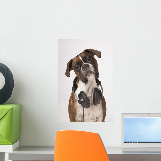 Boxer Dog With Headphones Wall Mural