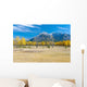 Aspens In A Meadow In Banff National Park Wall Mural