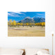 Aspens In A Meadow In Banff National Park Wall Mural