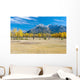 Aspens In A Meadow In Banff National Park Wall Mural