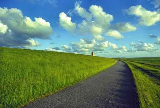 Strasse Am Deich Wall Decal