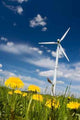 Windmill Dandelion Field Wall Decal