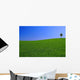 Gorgeous Landscape with Lonely Wall Decal