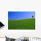 Gorgeous Landscape with Lonely Wall Decal