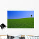 Gorgeous Landscape with Lonely Wall Decal