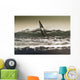 Windsurfing Wall Mural