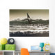 Windsurfing Wall Mural