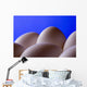 Close-Up Eggs Against Blue Background Wall Mural