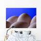 Close-Up Eggs Against Blue Background Wall Mural