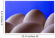 Close-Up Eggs Against Blue Background Wall Mural