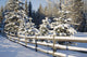 Snow-Covered Evergreens And Rustic Fence Wall Mural